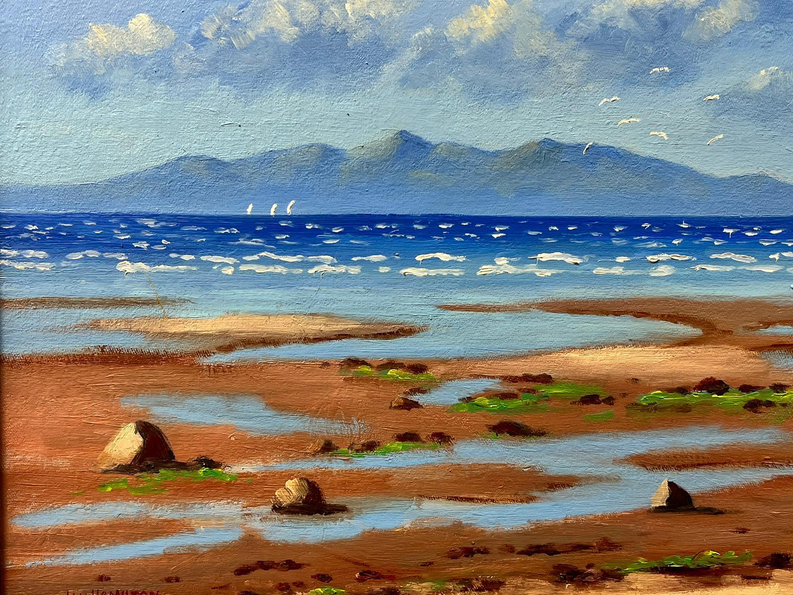 Ian Hamilton Landscape Painting - The Outer Hebrides Superb Scottish Oil Painting, Beach & Coastal Seascape