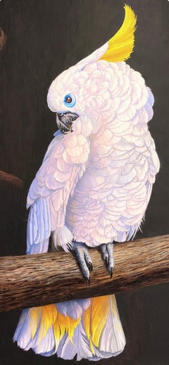 Ian Hornak, Kakadu, 1985