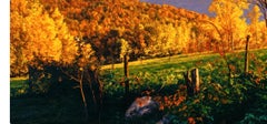 Ian Hornak, Marcia’s Meadow, Vermont, Variation #2, 1984