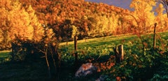 Ian Hornak, Marcia’s Meadow, Vermont, Variation #2, 1984