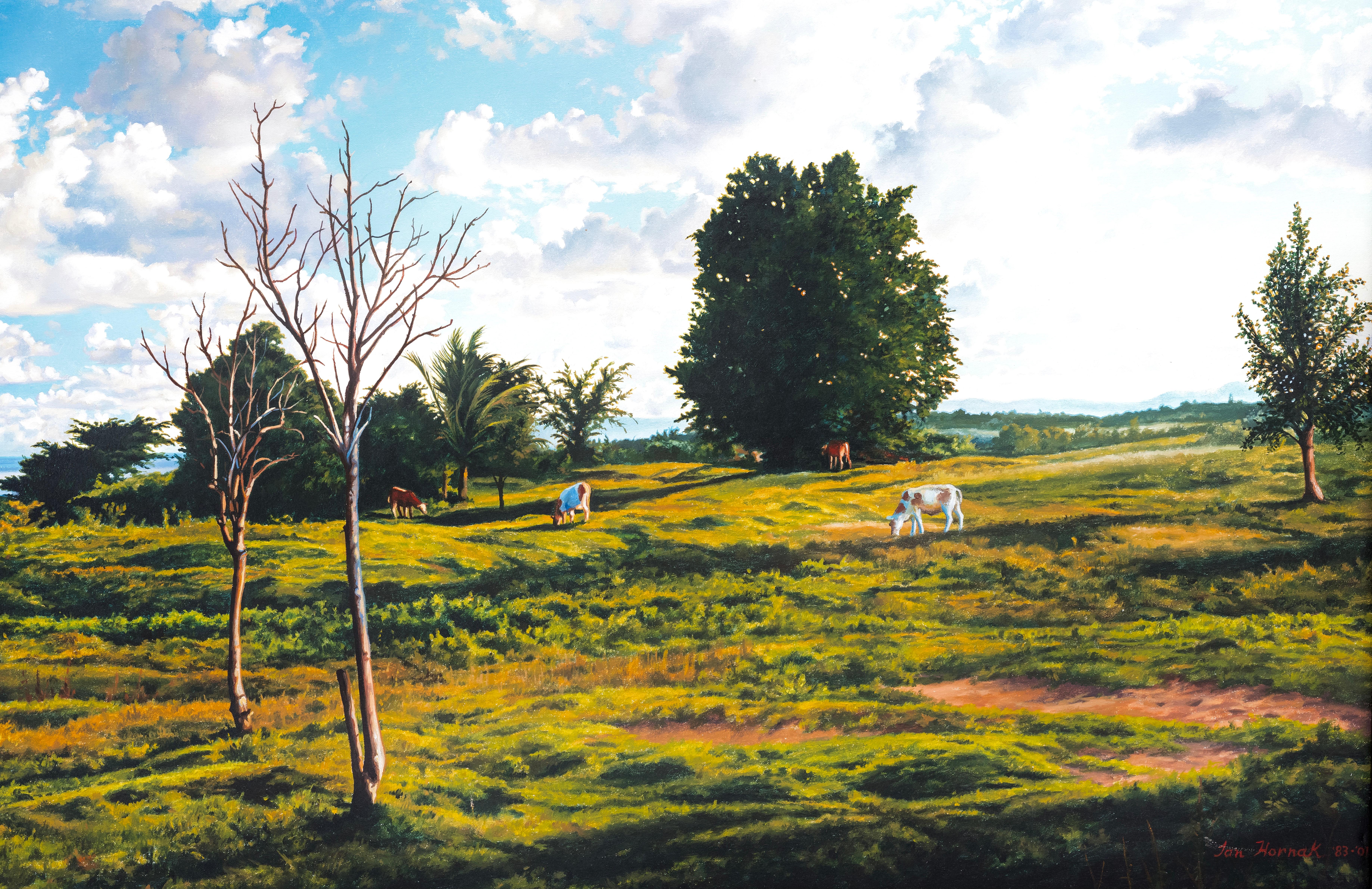 Mirando hacia Oyster Pond, Montauk, Ian Hornak en venta 1