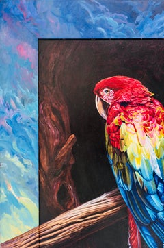 Scarlet Blue Macaw, Ian Hornak