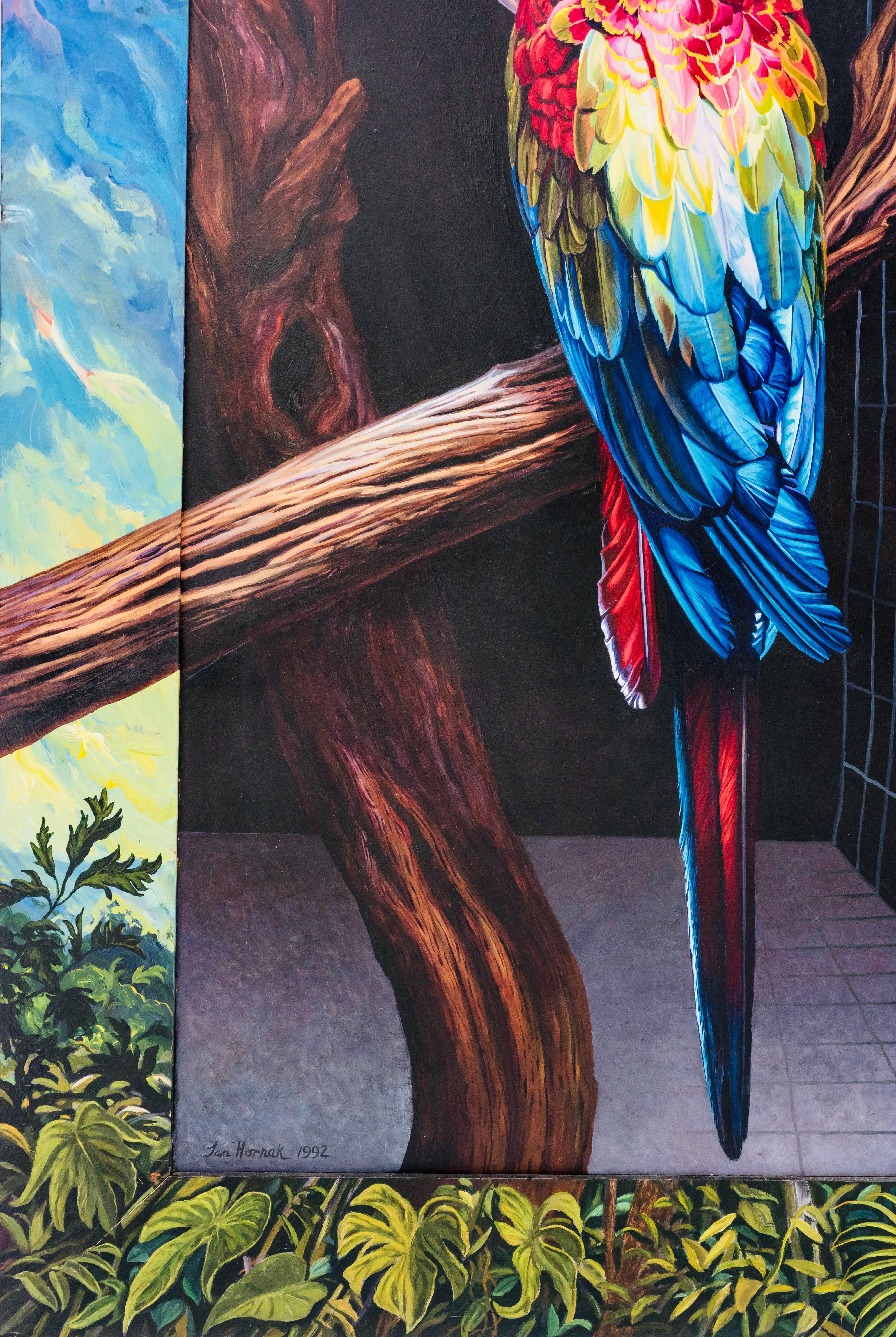 Scarlet Blue Macaw, Ian Hornak For Sale 1