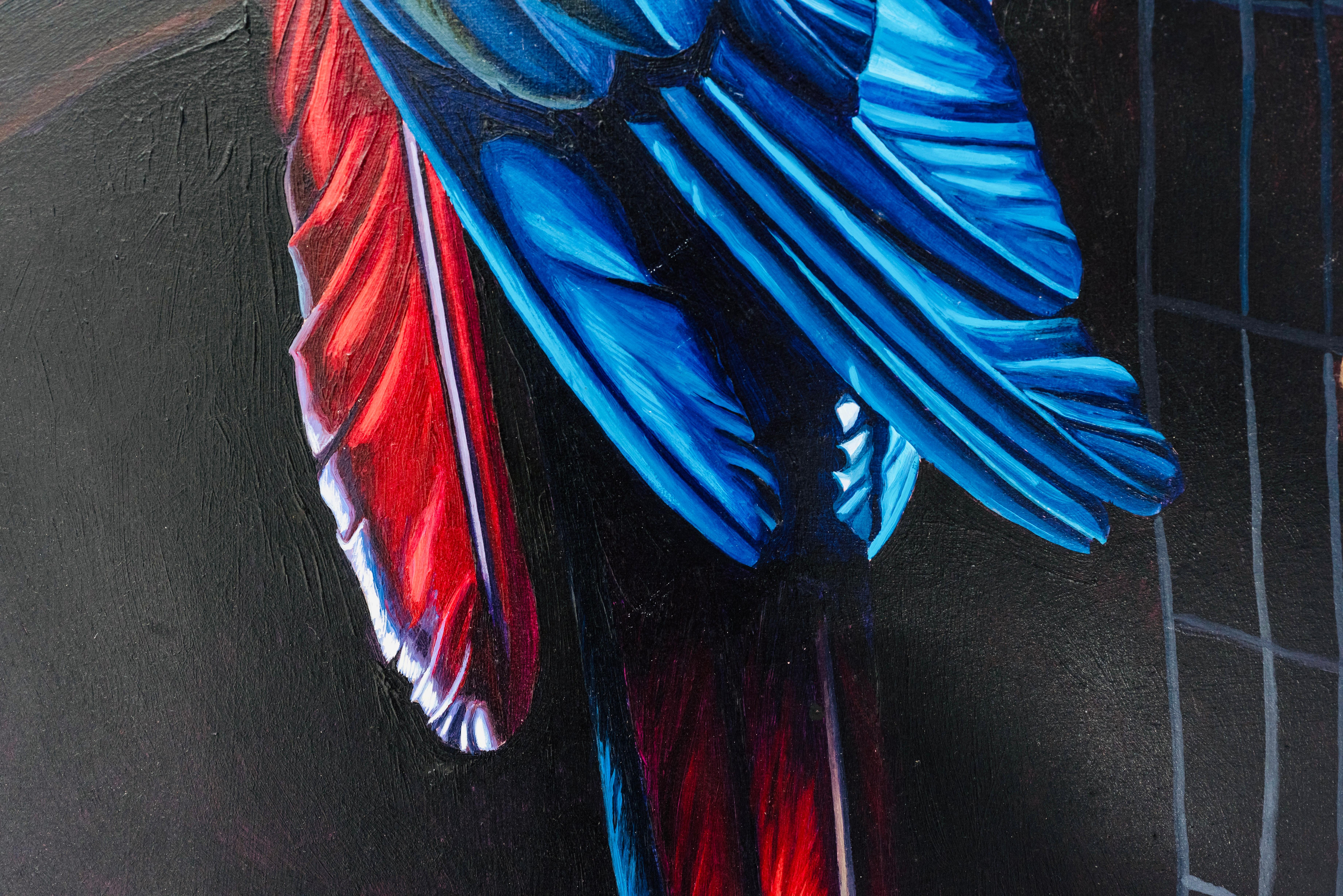 Scarlet Blue Macaw, Ian Hornak For Sale 4