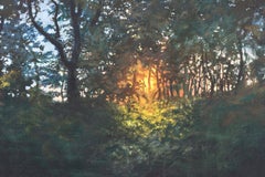 Sonnenaufgang durch den Wald, Spiralnebula , Fotorealismus