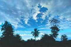 Wordsworth in the Tropics, Hyper-realist Painting by Ian Hornak