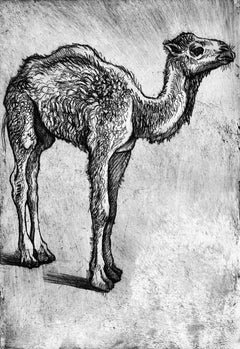 Ian Hornak, A Young Dromedary, Circa 1963
