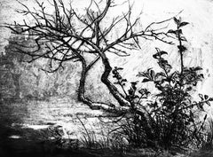 Ian Hornak, Blighted Plum Tree in the Ravine, Circa 1963