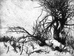 Ian Hornak, Fallen Tree in Winter, Circa 1965