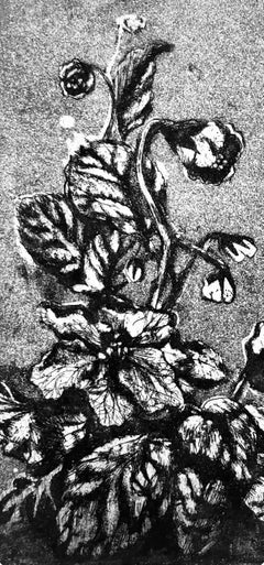 Ian Hornak, Flowering Geranium Study, Circa 1963