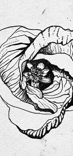 Ian Hornak, „Opening Poppy Blossom“, CIRCA 1963
