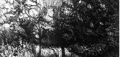Ian Hornak, Petrarca nella foresta, CIRCA 1965
