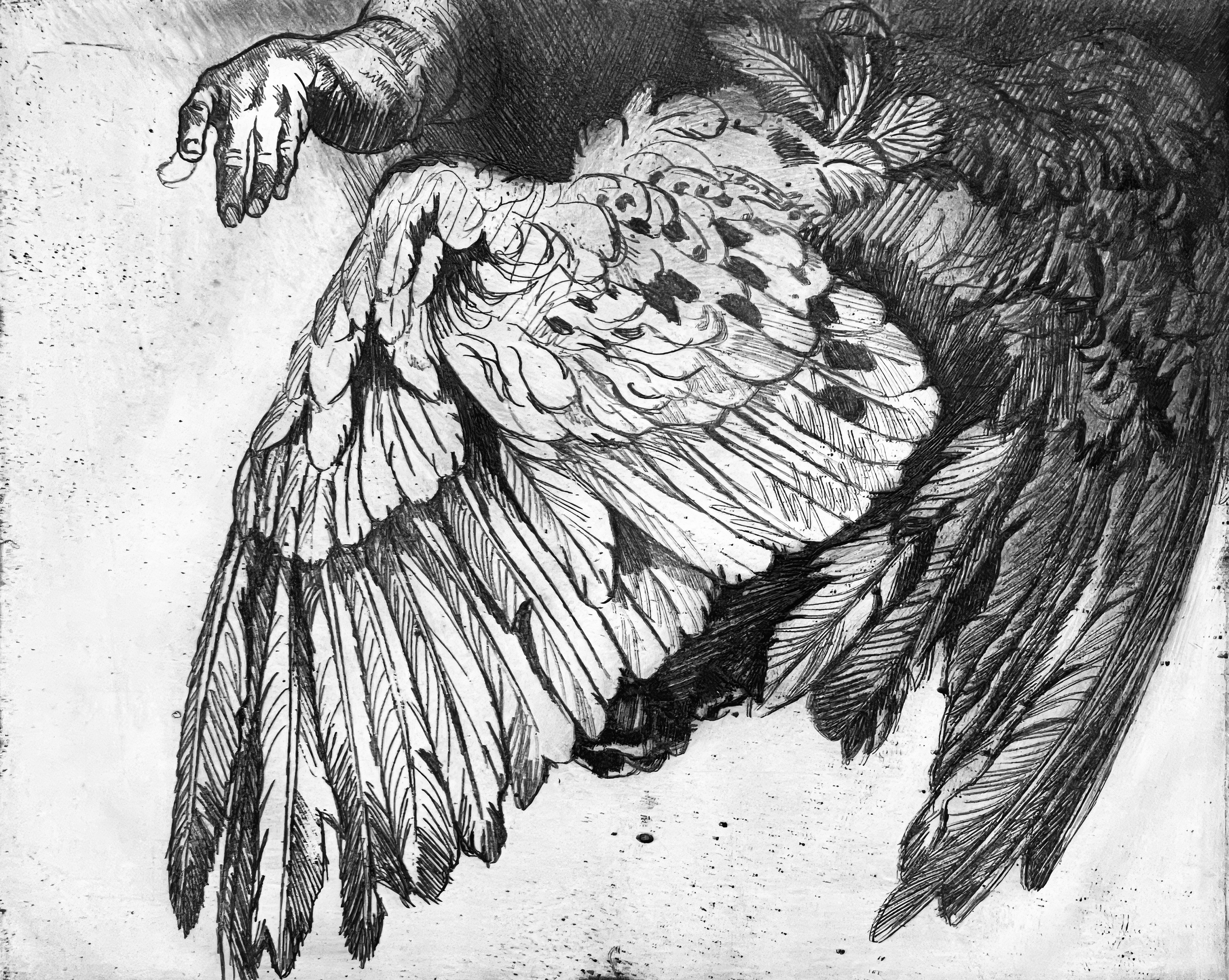 This exquisite etching by Ian Hornak (1944–2002), titled The Annunciation, was executed circa 1963 during the artist’s undergraduate studies. Created during the formative years of Hornak’s artistic development, the composition provides a compelling