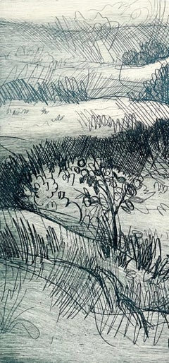 Ian Hornak, „Bewaldeter Hang mit Feldern in der Ferne“, CIRCA 1963
