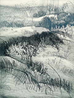 Ian Hornak, „Bewaldeter Hang mit Feldern in der Ferne“, CIRCA 1963