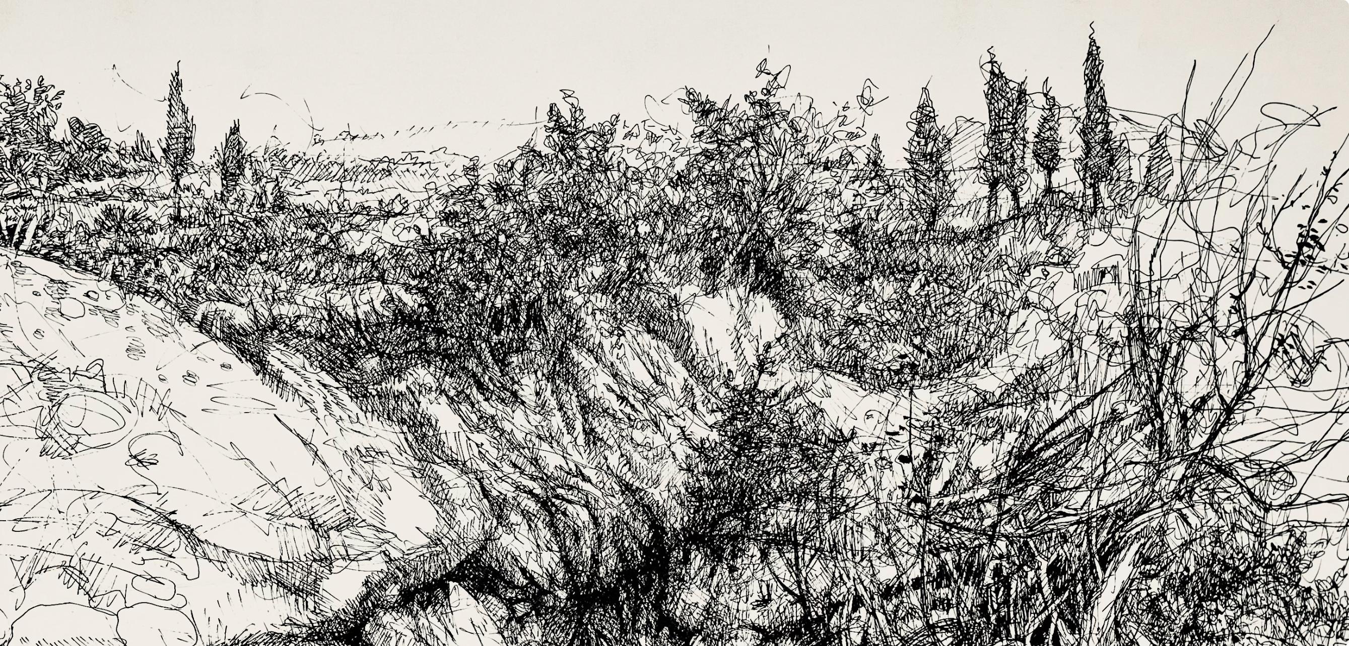 Paisaje con barranco, Ian Hornak en venta 1
