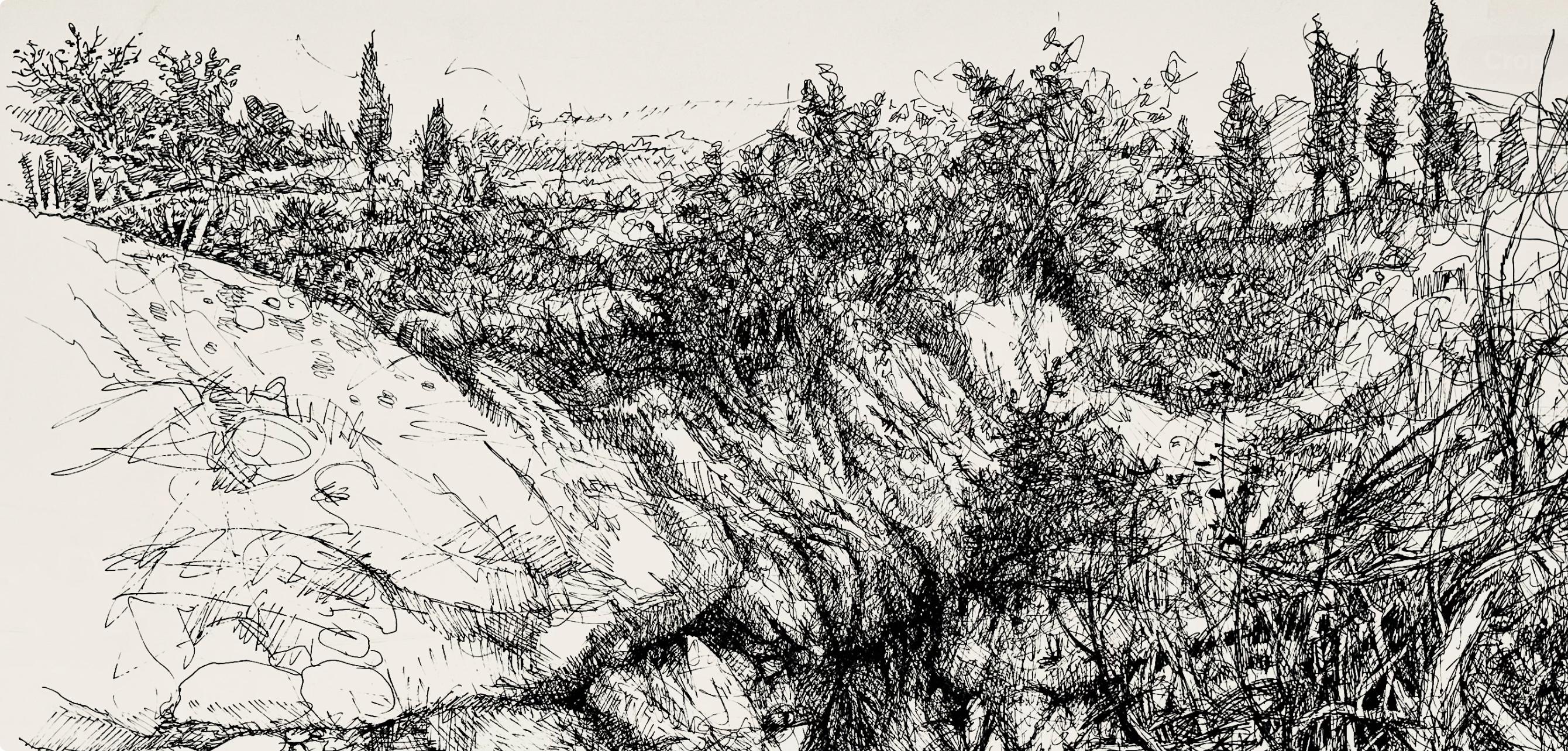 Paisaje con barranco, Ian Hornak en venta 2