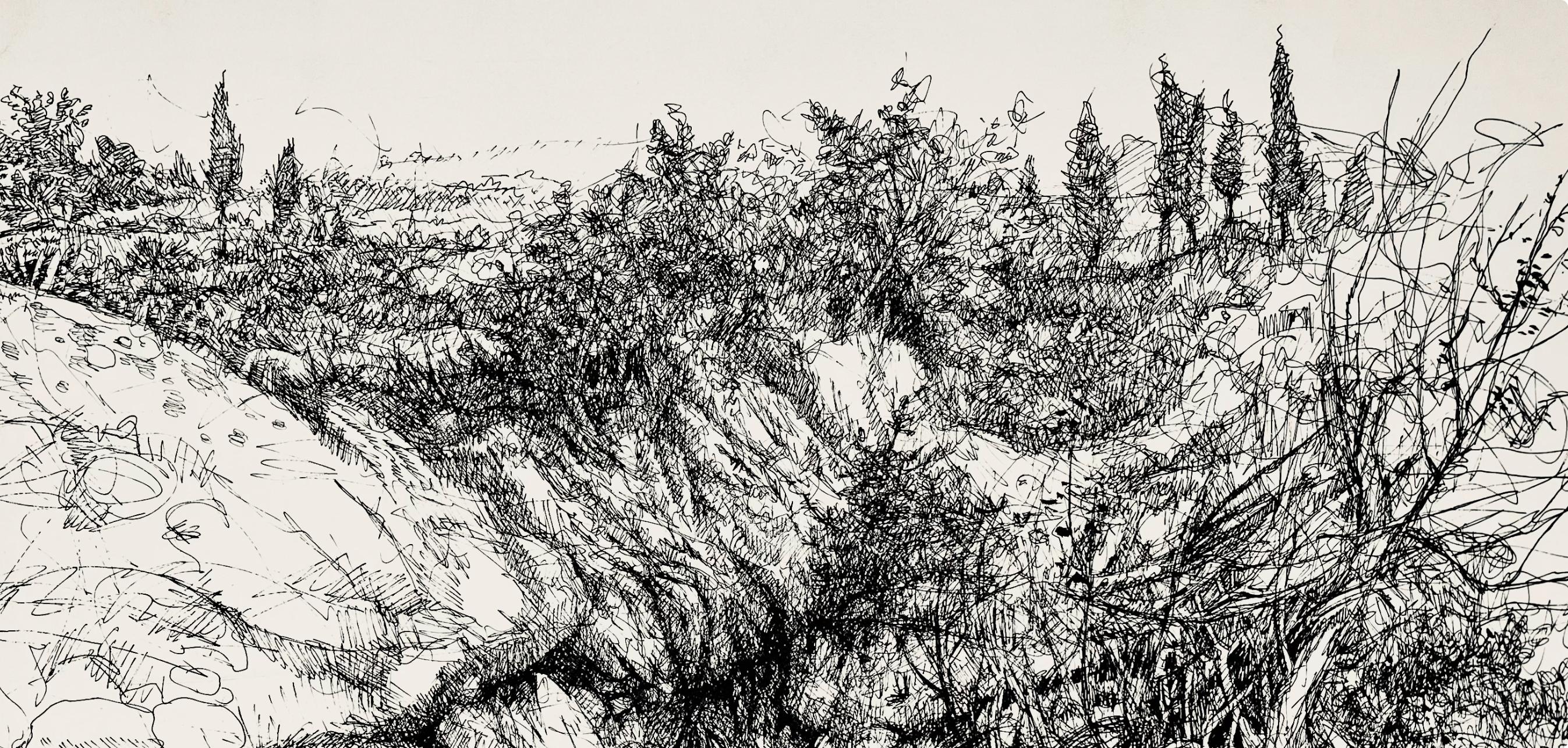 Paisaje con barranco, Ian Hornak en venta 5