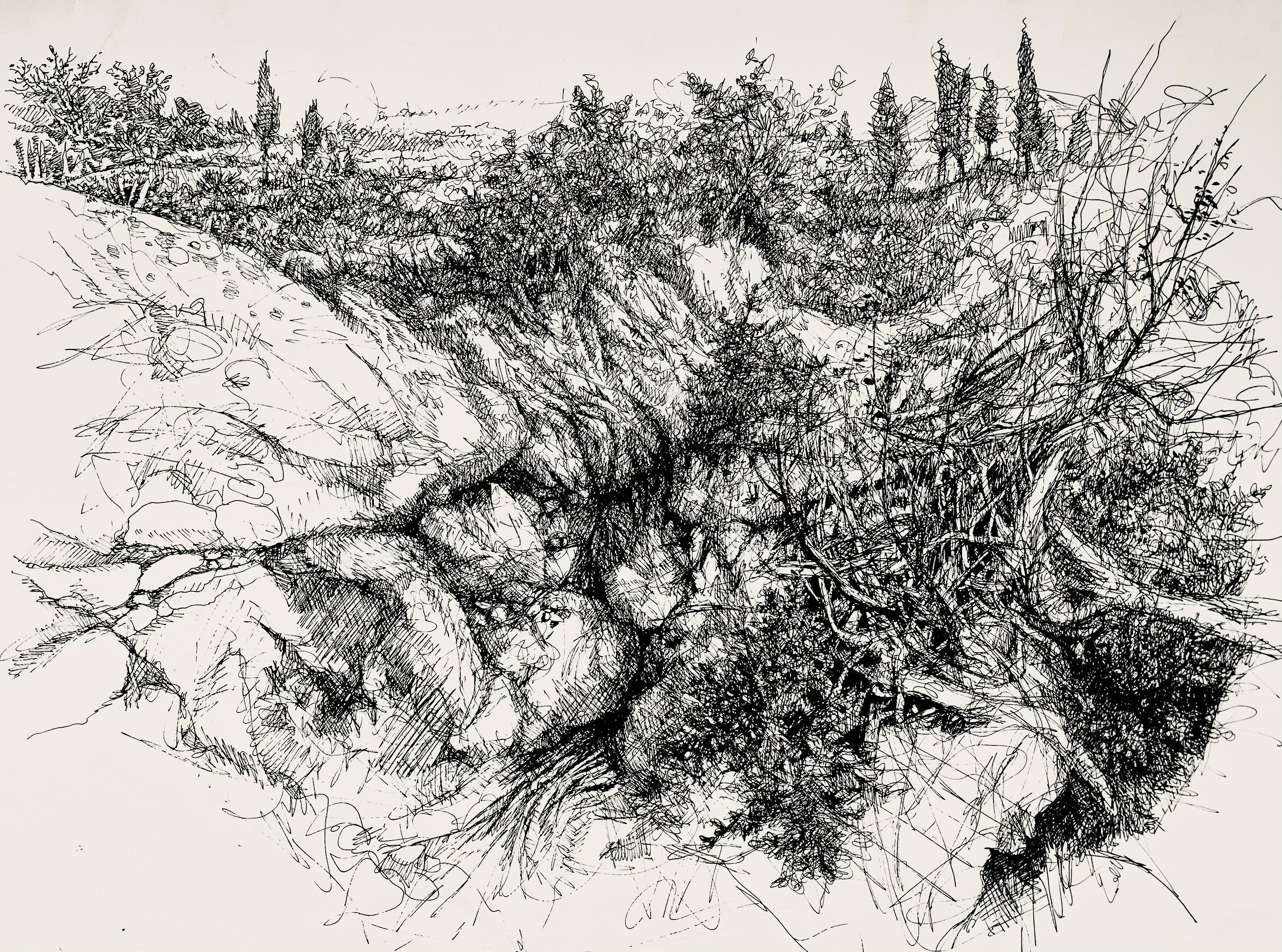 Paisaje con barranco, Ian Hornak