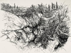 Paisaje con barranco, Ian Hornak