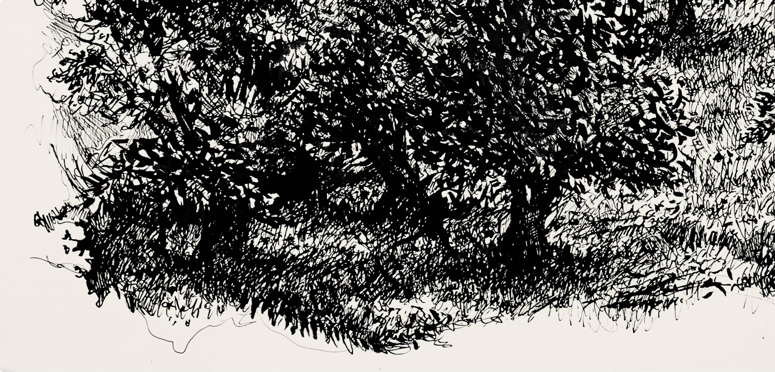Olivar a la luz de la luna, Ian Hornak en venta 2