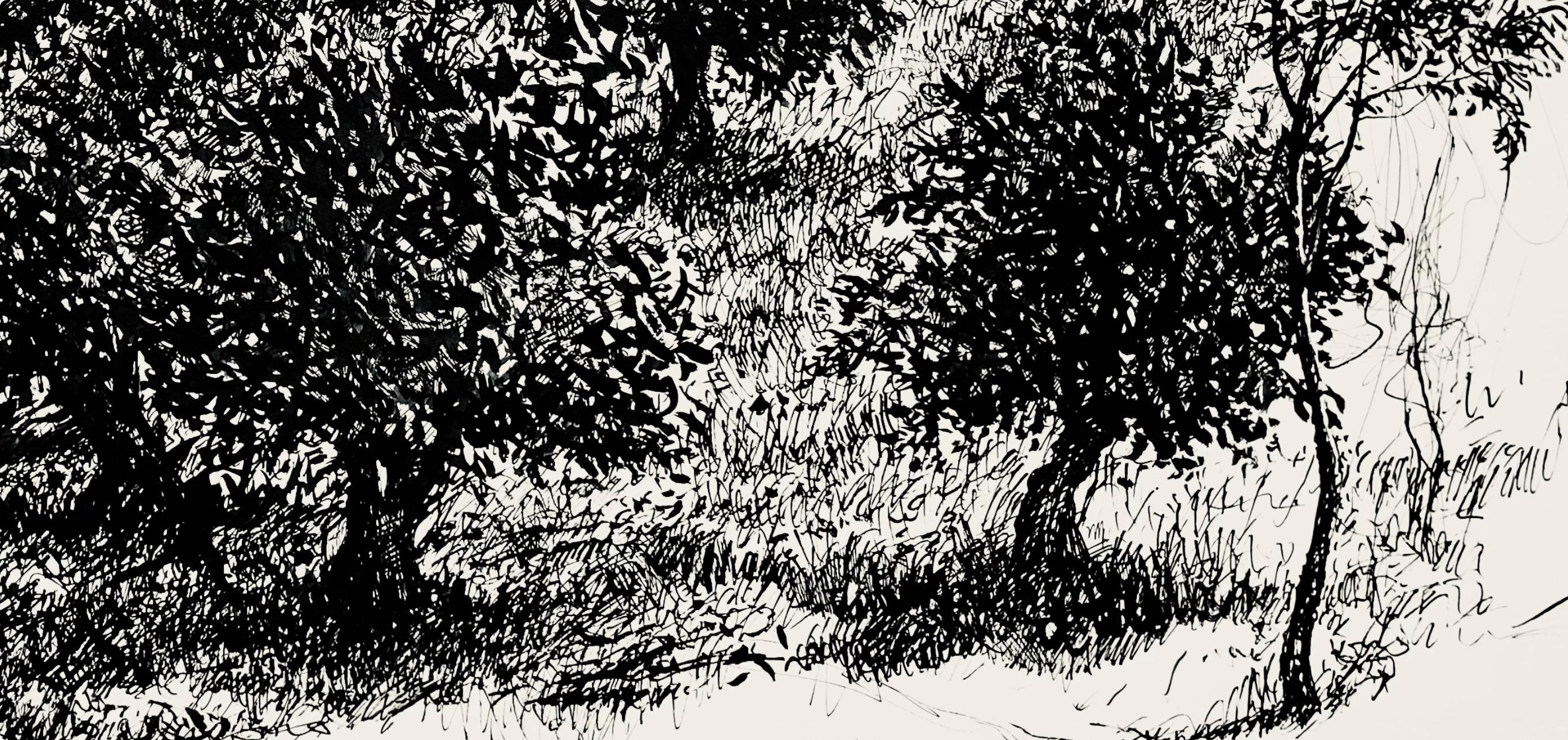 Olivar a la luz de la luna, Ian Hornak en venta 3