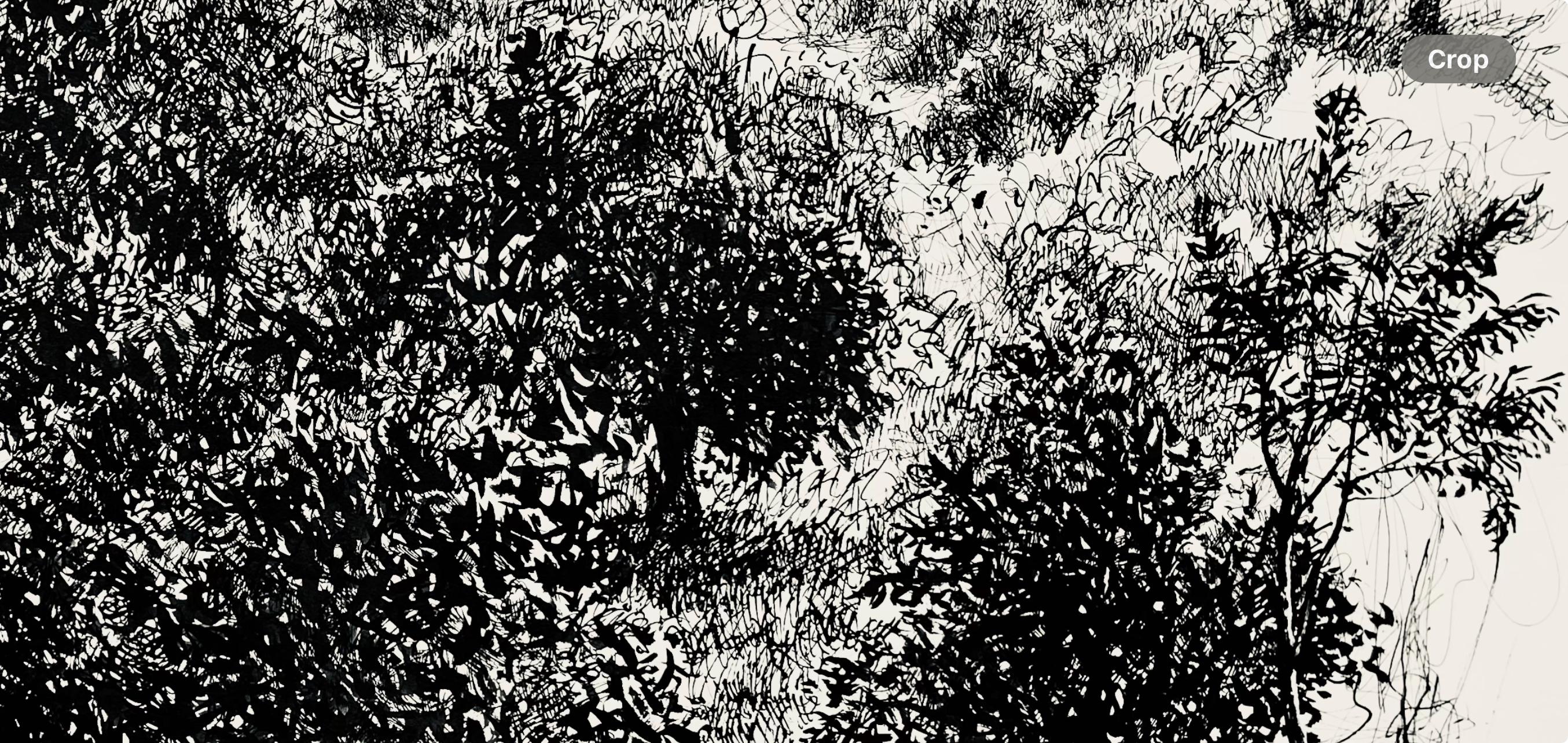 Olivar a la luz de la luna, Ian Hornak en venta 4