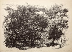Olive Grove in Moonlight, Impressionist Lithograph by Ian Hornak