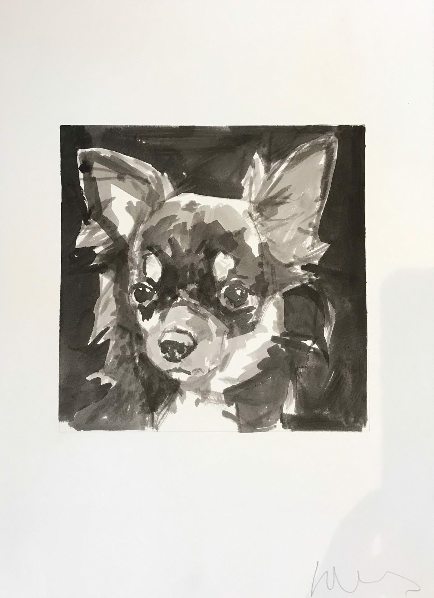 Alert Chihuahua in inchiostro bianco e nero è un minimalista contemporaneo  Pittura di cani