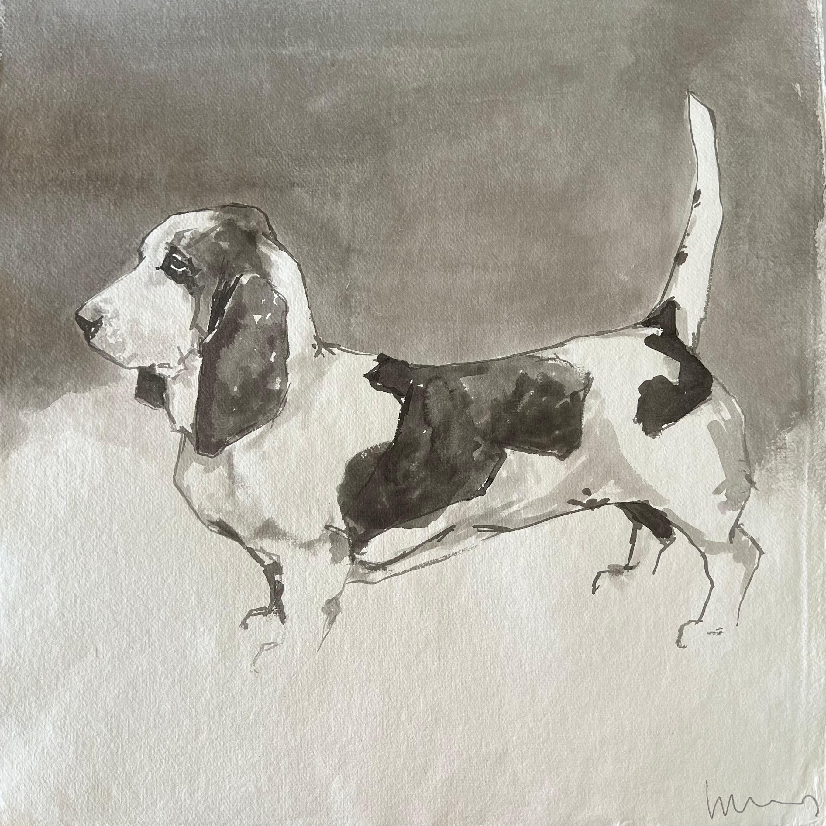 Ian Mason Animal Painting - Bassett Hound minimal black and white ink painting on Indian rag paper