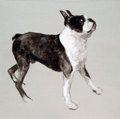 Boston Terrier dog minimalist black and white painting of a by Ian Mason British