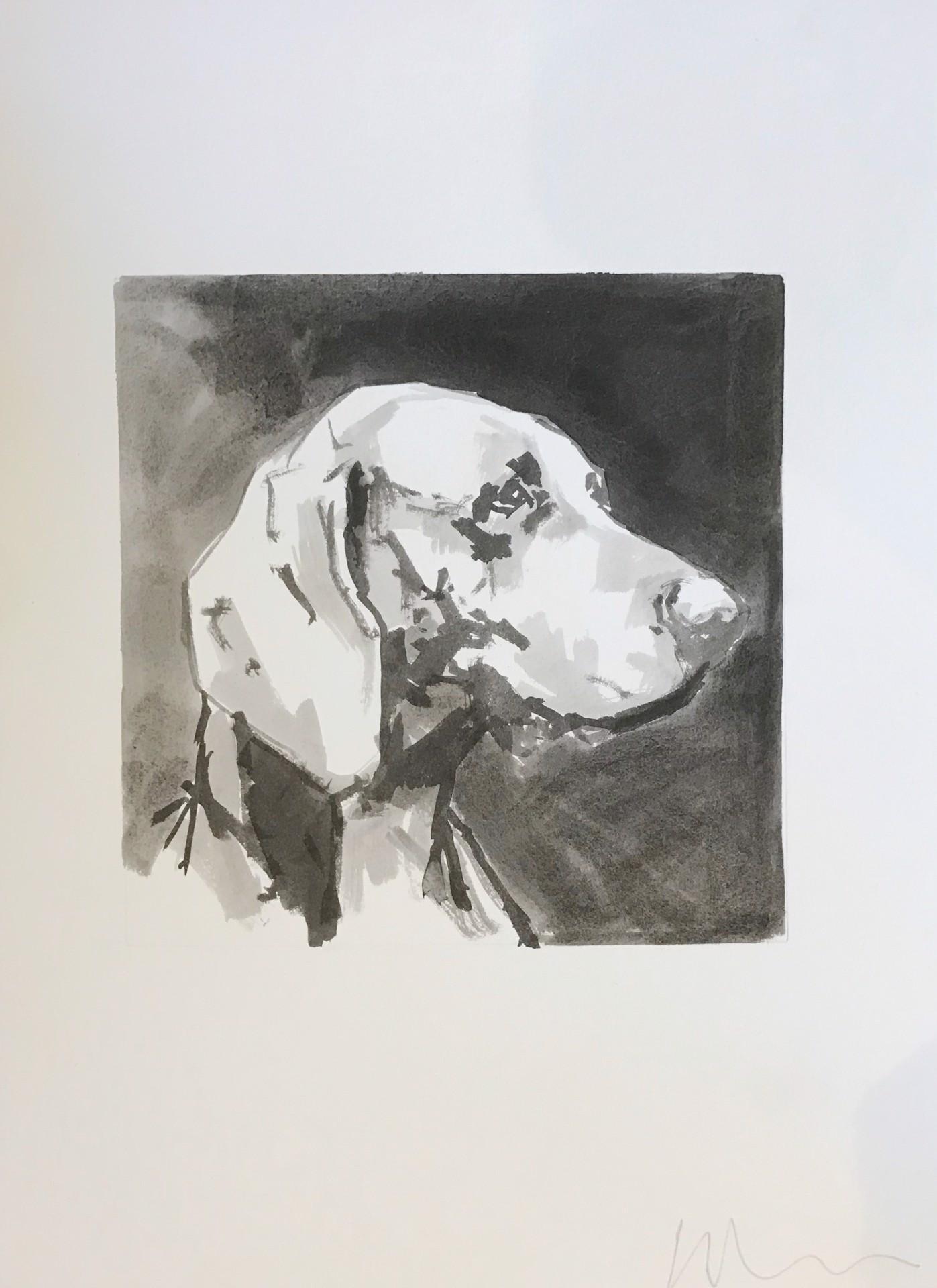 Eleganza e minimalismo nell'inchiostro su carta di uno splendido Weimaraner