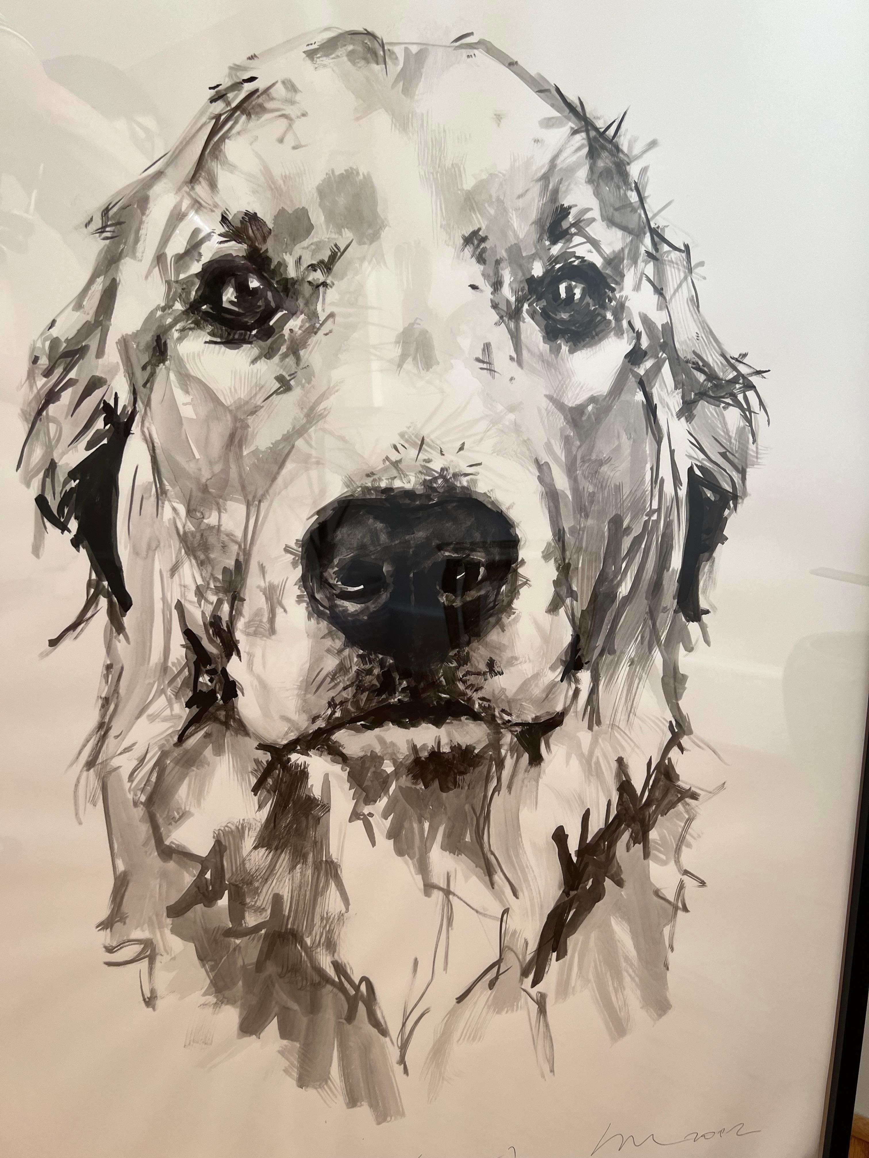 Golden Retriever 1, large contemporary minimal portrait in black ink on paper - Painting by Ian Mason