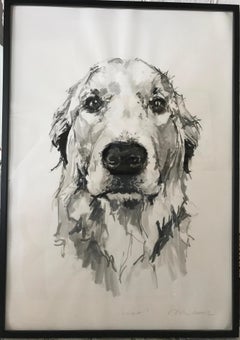 Golden Retriever 1, large contemporary minimal portrait in black ink on paper