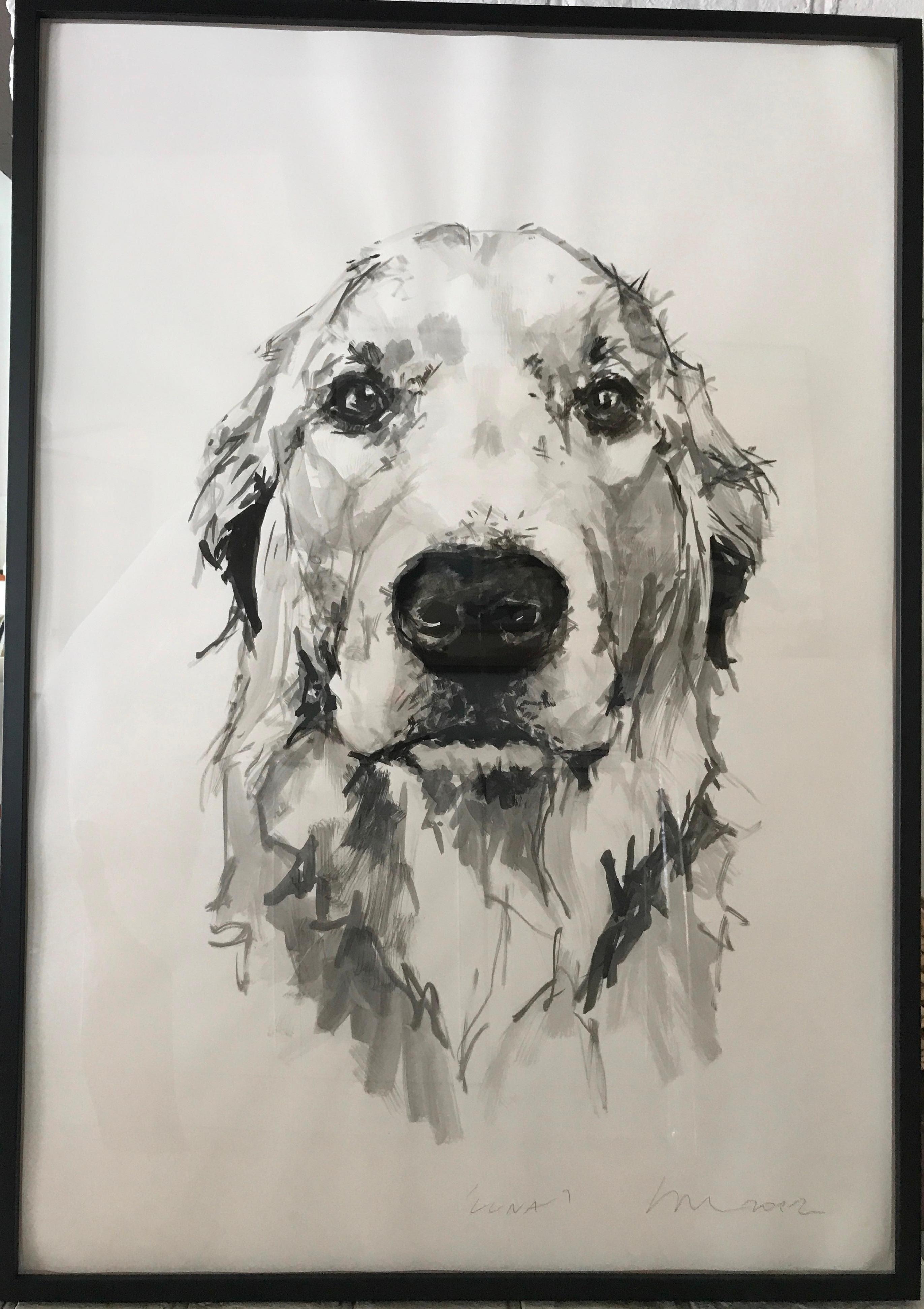 Golden Retriever, dog, This stunning large black and white ink painting of a Golden Retriever, is a contemporary minimal portrait in ink wash on Heritage paper 200 gsm paper. Ian Mason's portraits of dogs are very striking as he is able to capture