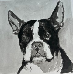 Happy Go Lucky Boston Terrier Communicates Clearly with Owner