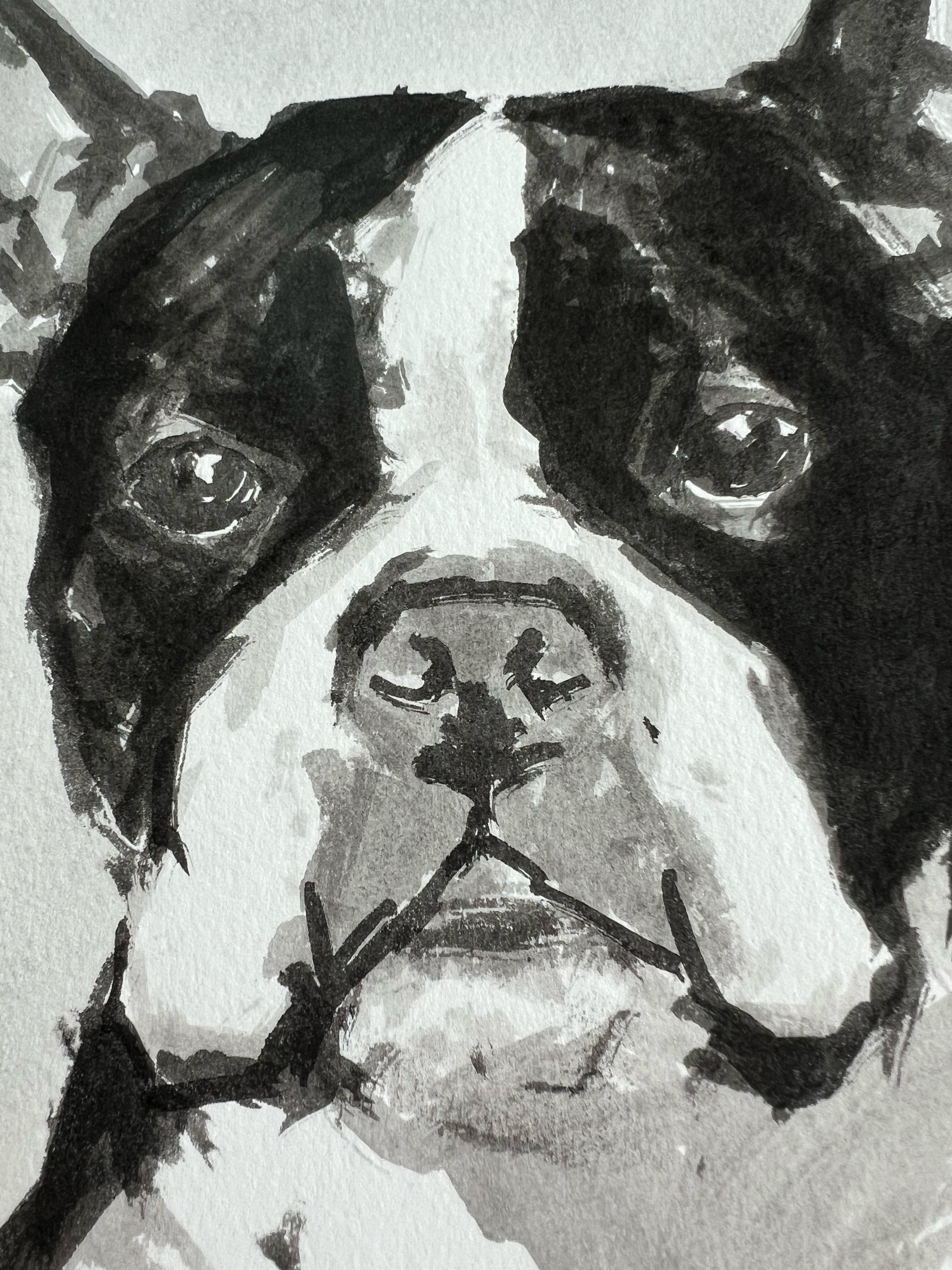 Happy Go Lucky Boston Terrier Communicates Clearly with Owner - Minimalist Painting by Ian Mason