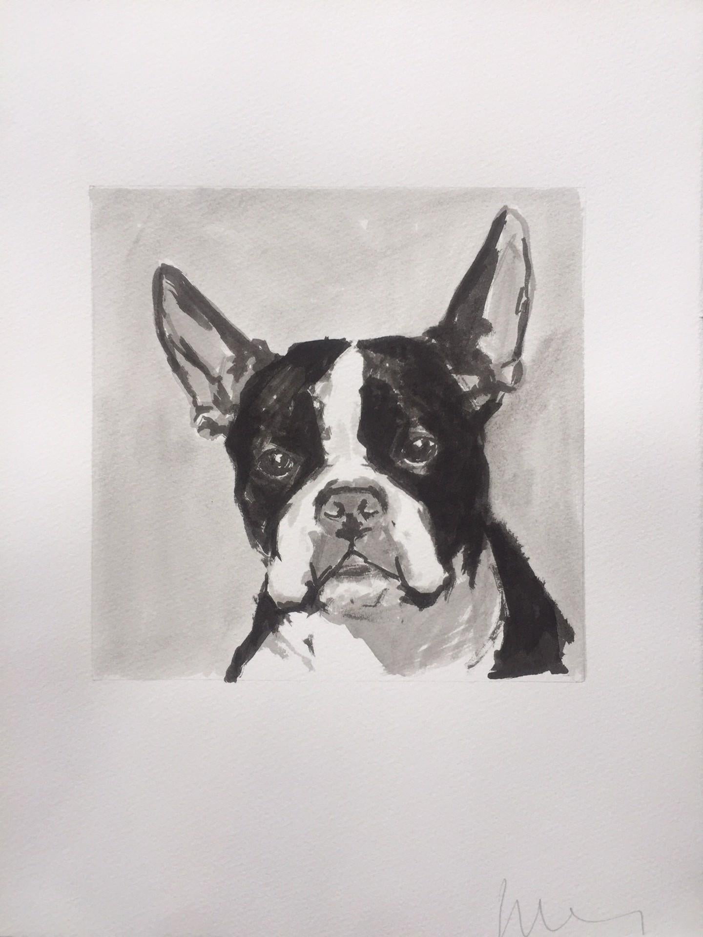 Ian Mason Portrait Painting - Happy Go Lucky Boston Terrier Communicates Clearly with Owner