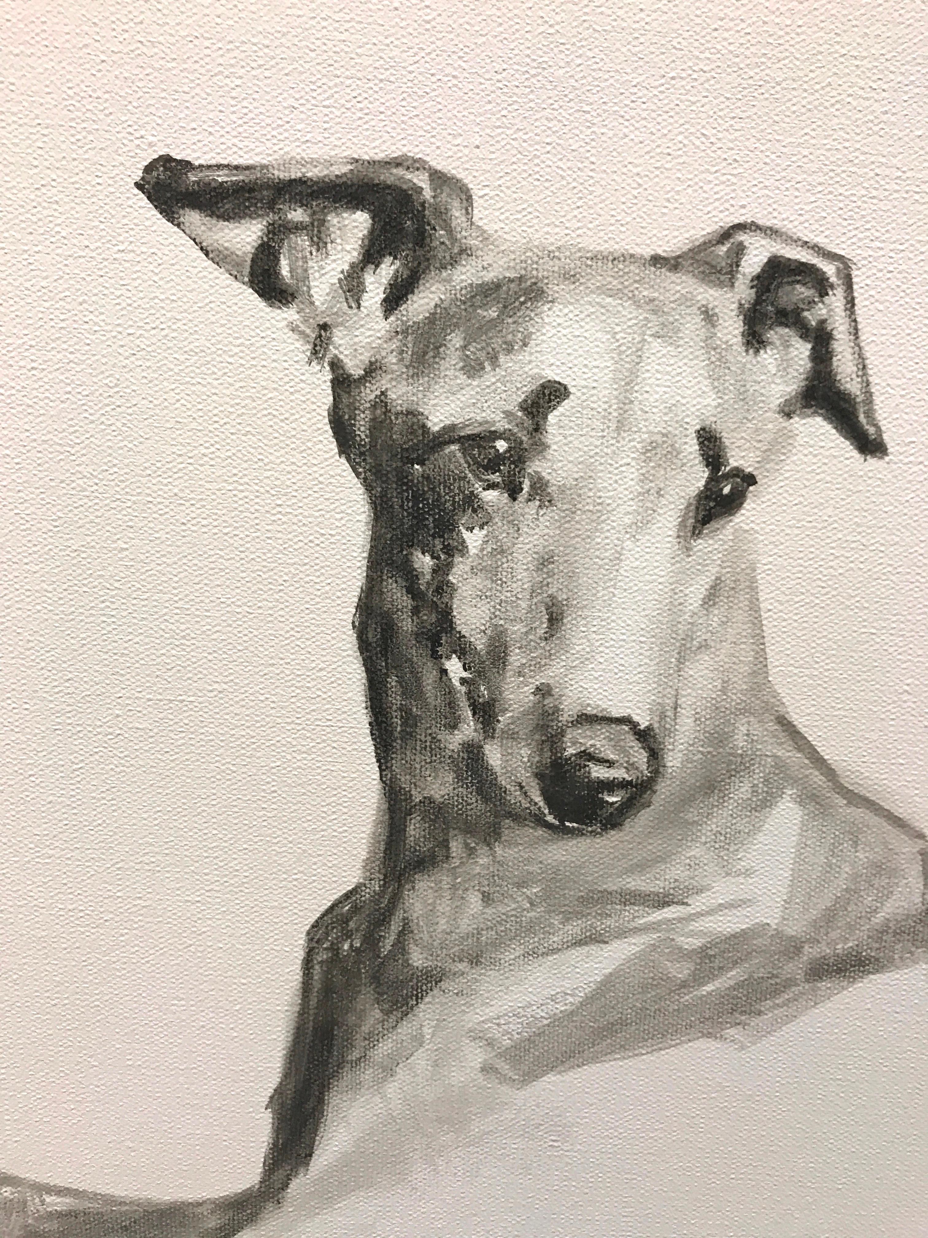 british greyhound