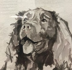 Minimalist ink on Indian Rag paper of a Spaniel dog by British Ian Mason