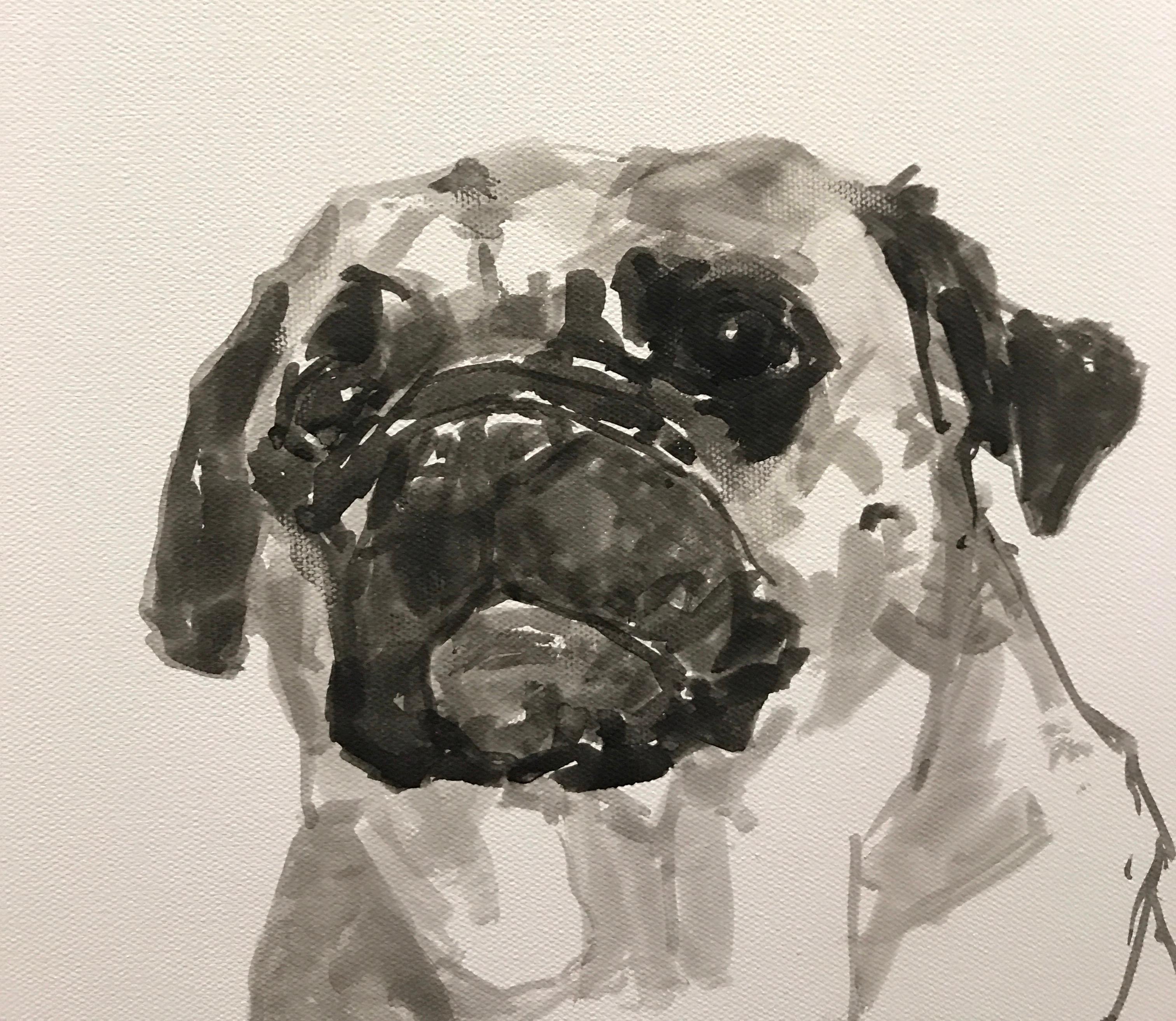 Pug, contemporary minimal dog portrait black and white acrylic on canvas, framed - Painting by Ian Mason