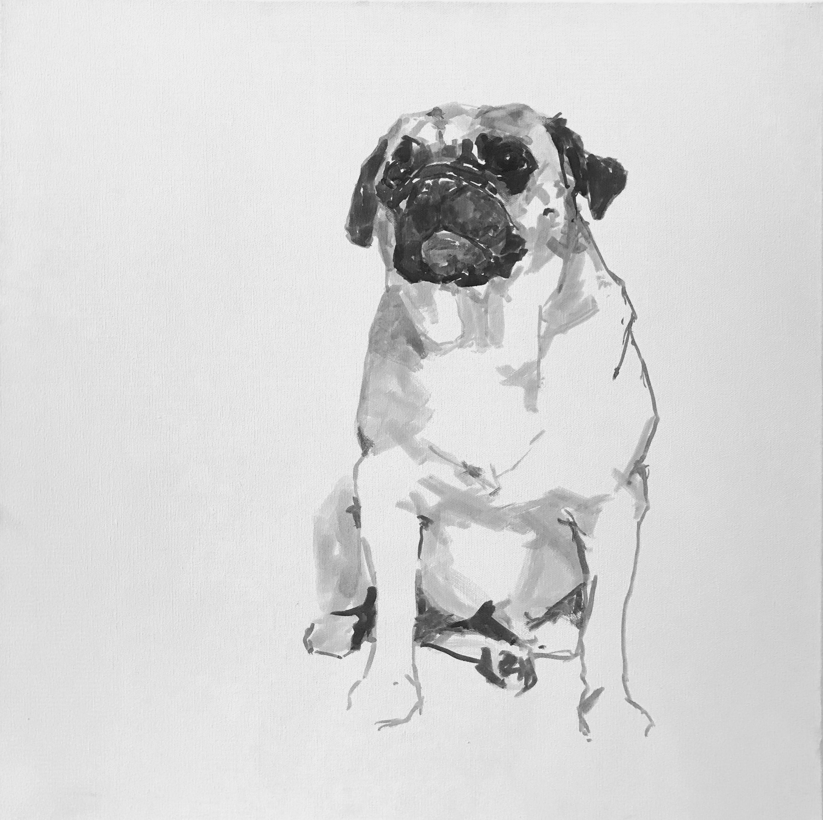Ian Mason Portrait Painting - Pug, contemporary minimal dog portrait black and white acrylic on canvas, framed