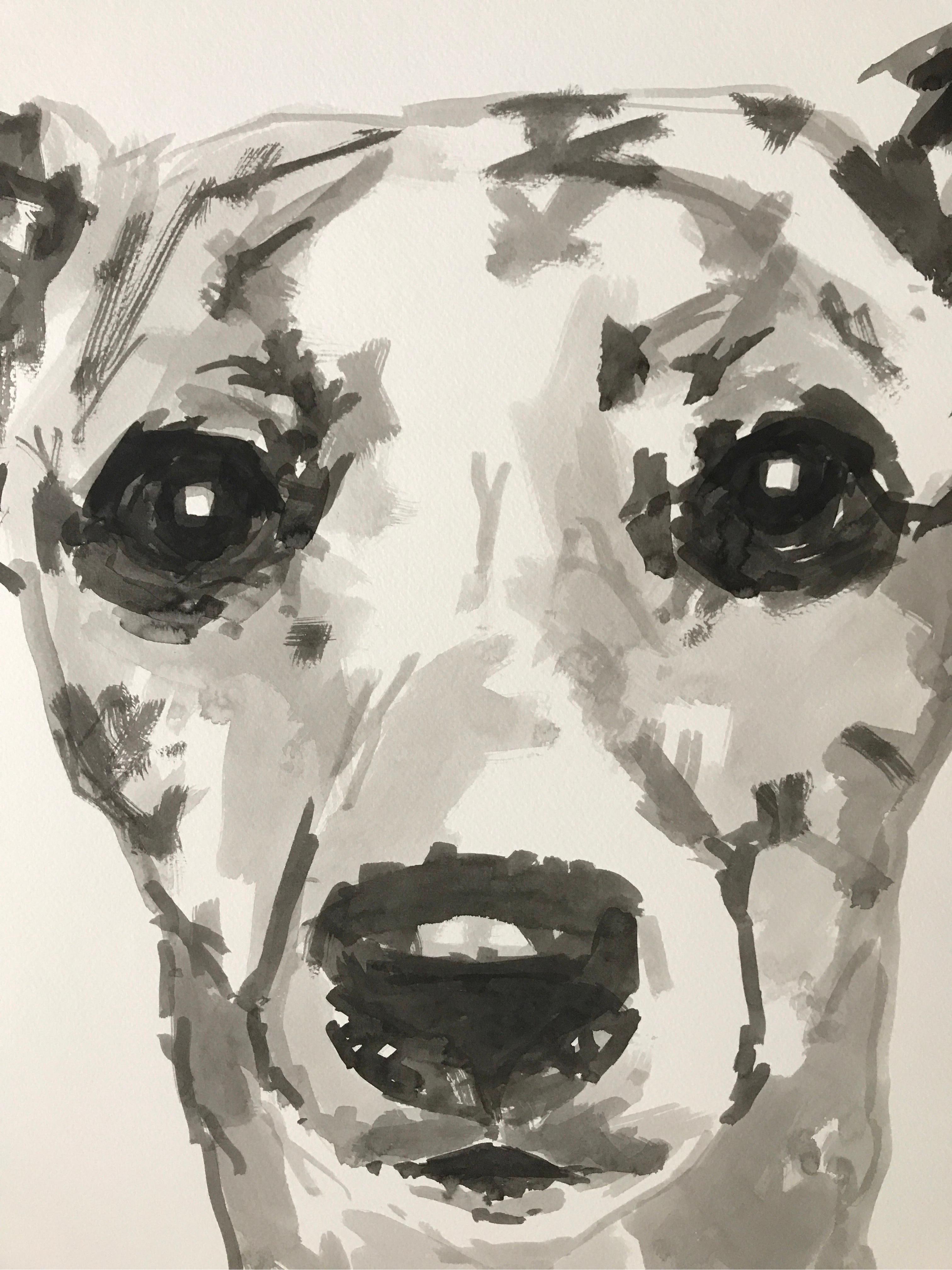 how to draw a whippet
