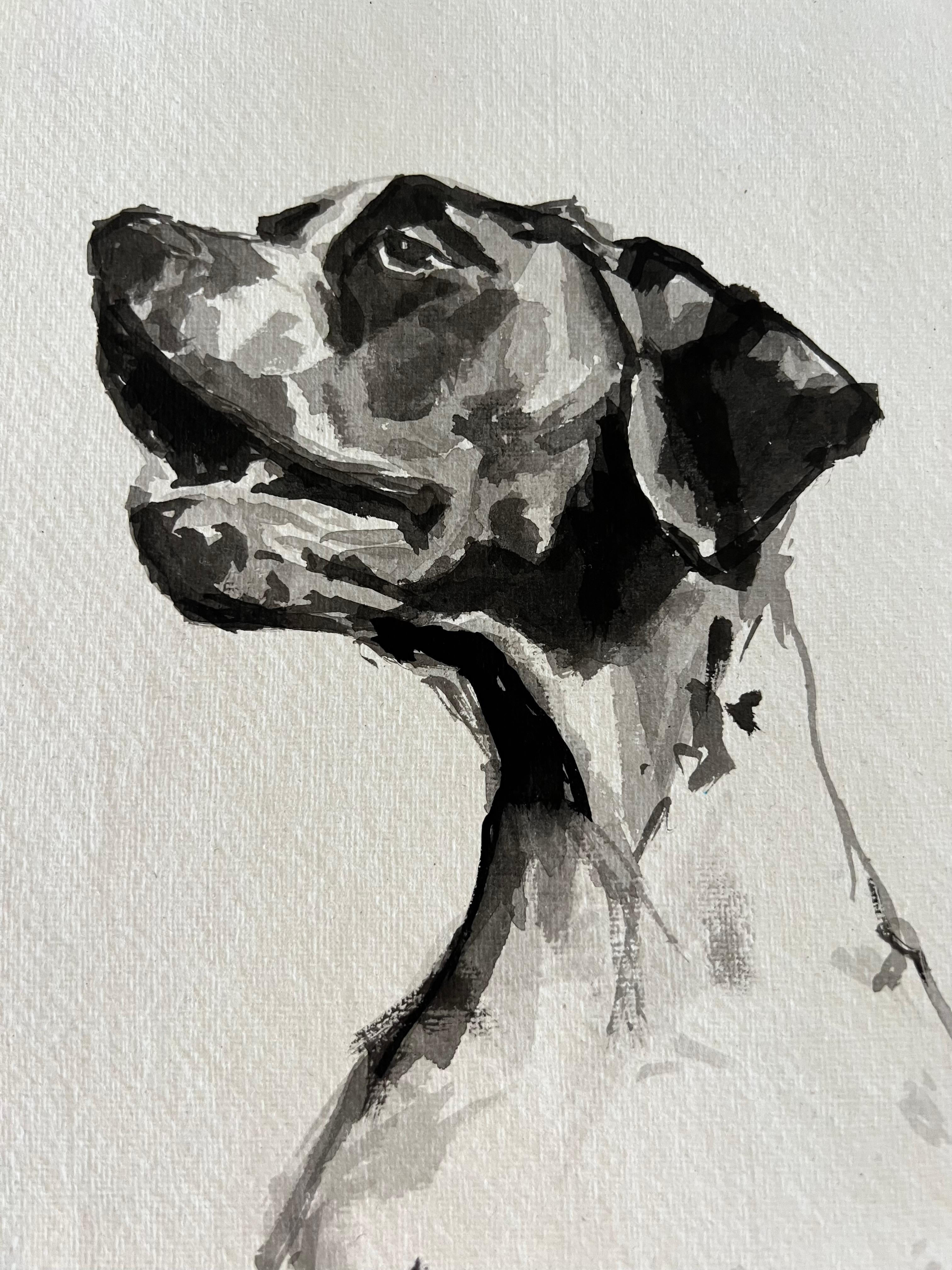 Stunning English Pointer minimal black and white ink painting on rag paper - Painting by Ian Mason