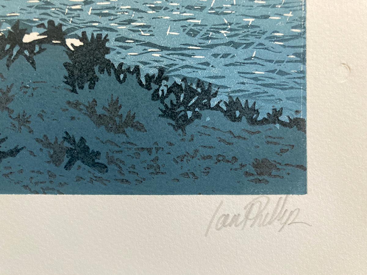 Moonlit di Ian Phillips [2022]
edizione_limitata e non era firmata dall'artista
Linocut
Edizione numero 19/30
Dimensioni dell'immagine: H. 41 cm x L. 28,5 cm
Dimensioni complete dell'opera non incorniciata: H. 53 cm x L. 38,5 cm x P. 0,01cm
Venduto