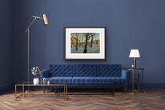 Memory of Spring, Ian Phillips, Druck in limitierter Auflage, zeitgenössische Kunst