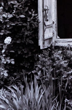 Lisa - Silver Gelatin print, Contemporary signed limited edition nude photo