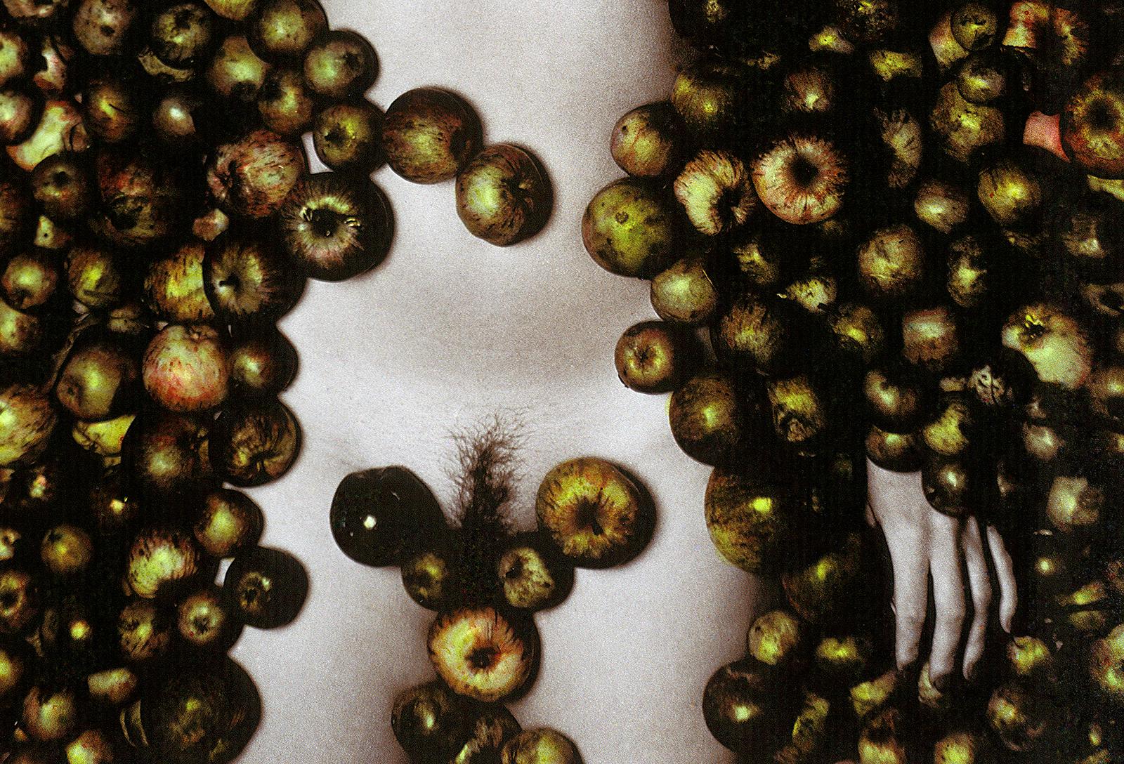 Porträt-Stillleben-Kunstdruck in limitierter Auflage, Figuratives Farbfoto – Äpfel  (Zeitgenössisch), Photograph, von Ian Sanderson