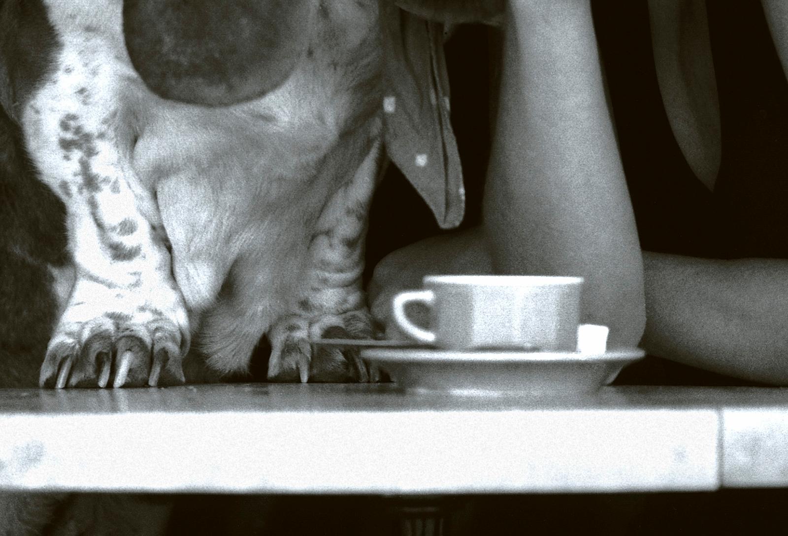 Banya - Impression de nature morte en édition limitée signée, photo en noir et blanc, animal chien - Contemporain Photograph par Ian Sanderson