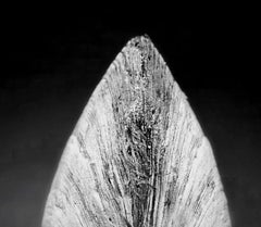 Clam 02 - Photographie contemporaine monochrome, édition signée, carré organique